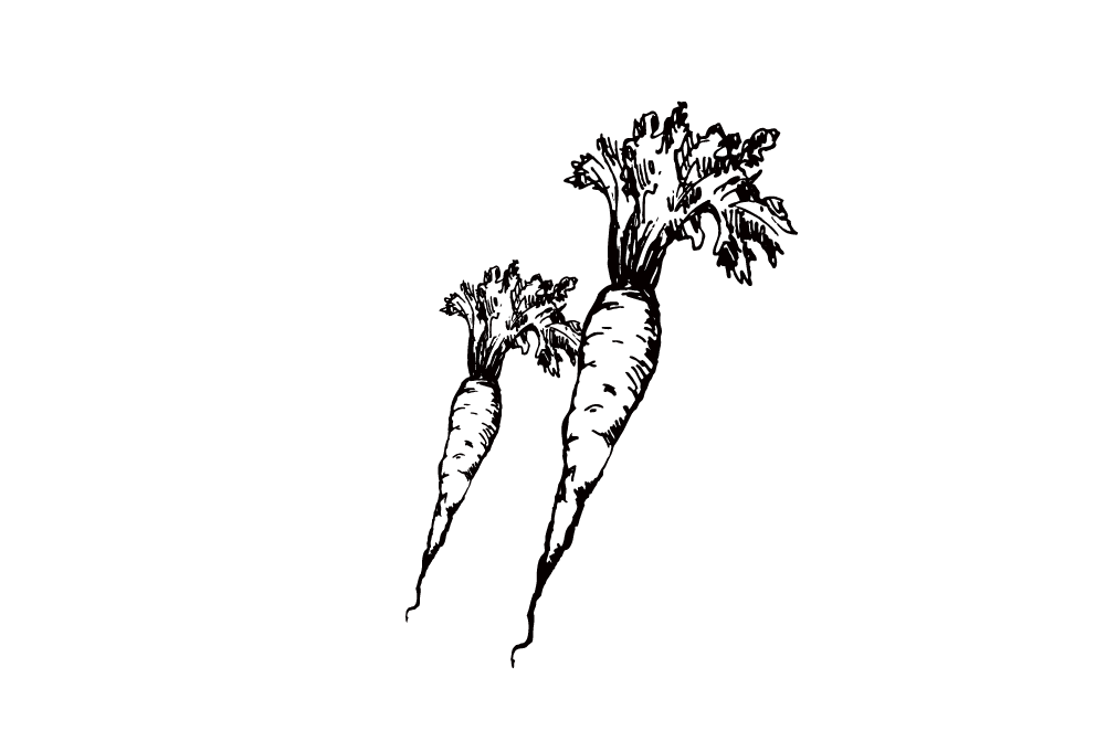 Karottenwürfel tiefgefroren - Leo Barf