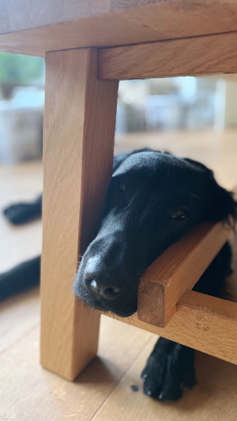 100% Pferd – leicht verdaulich für empfindliche Hunde - Leo Barf