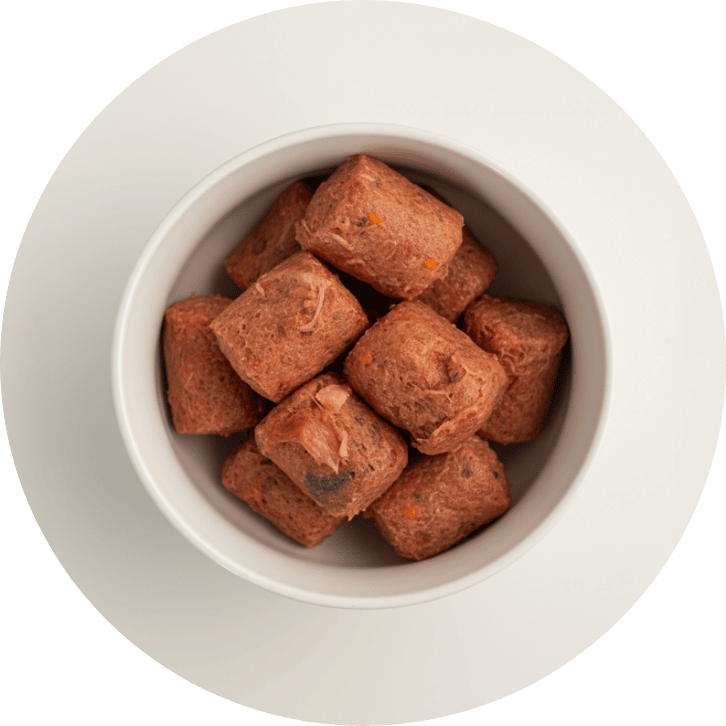 Hochwertiges BARF-Hundefutter | LEO BARF – Jetzt online bestellen – Leo ... Hochwertiges BARF-Hundefutter | LEO BARF – Jetzt online bestellen – Leo ...