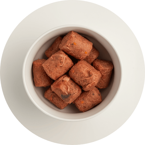 Vollwert Barf-Menüs