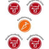 Leo Barf Probierpaket – Tiefgekühlte Vielfalt zum Sonderpreis.