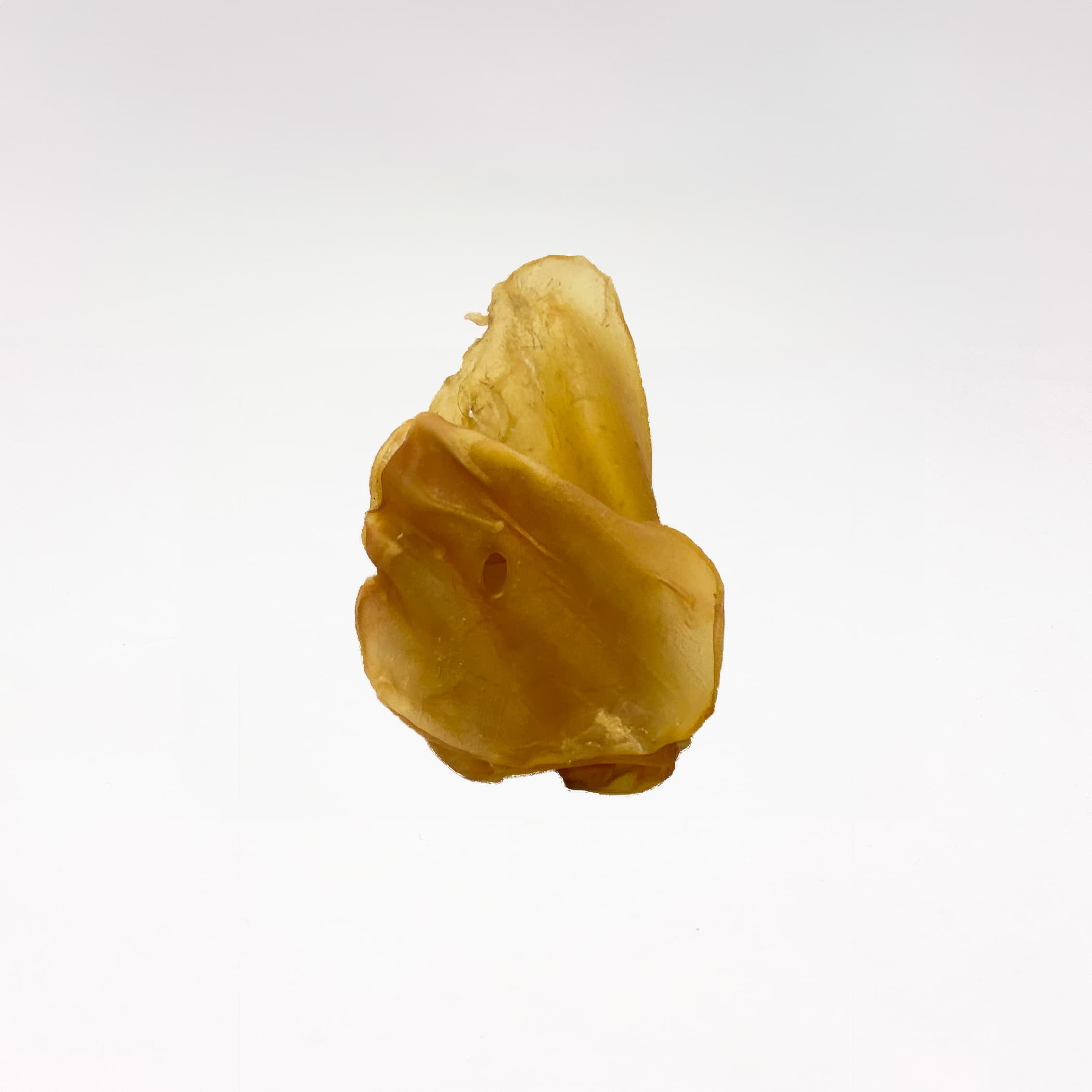 Rinderohren getrocknet Vorteils­pack (10 x 500 g) - Leo Barf